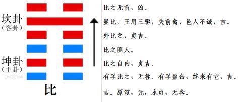 水地比命卦|8. 比卦 (水地比) 